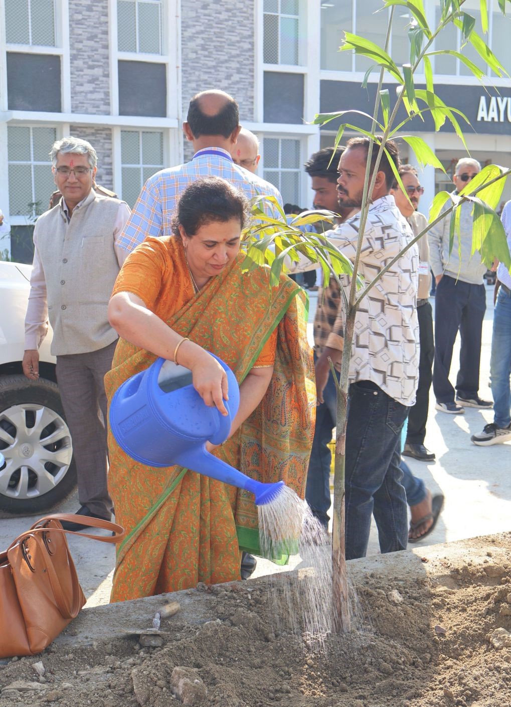 Tree plantation