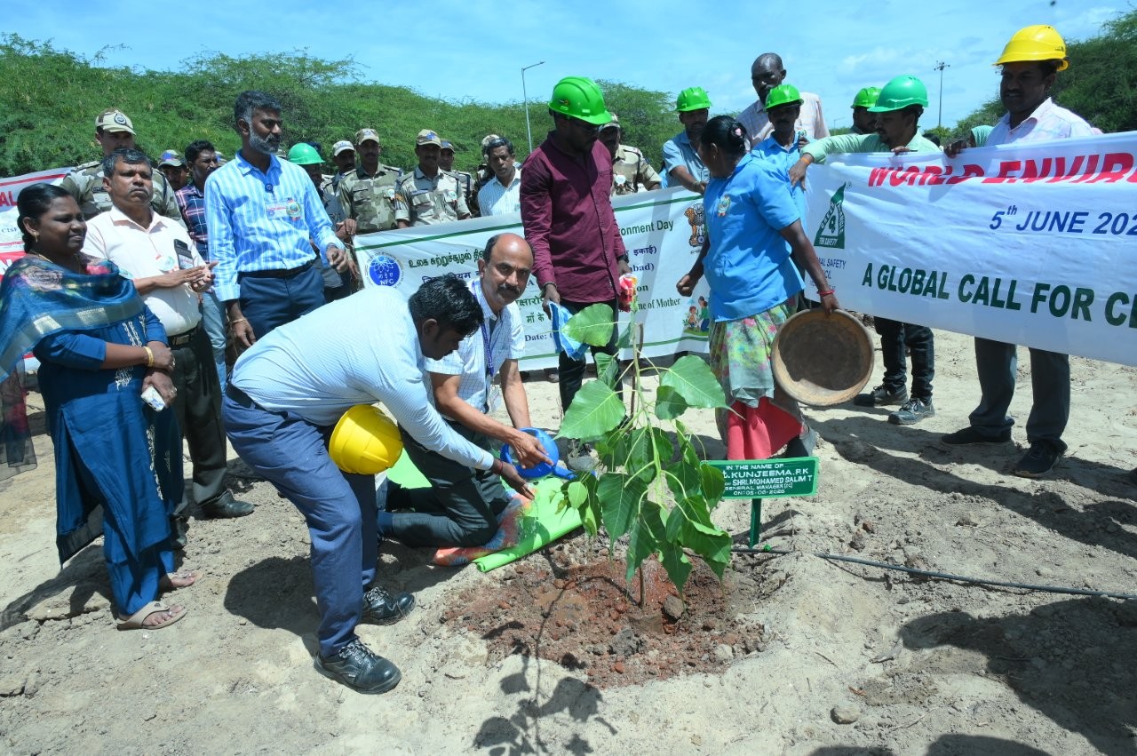 Tree plantation by GM, ZC.