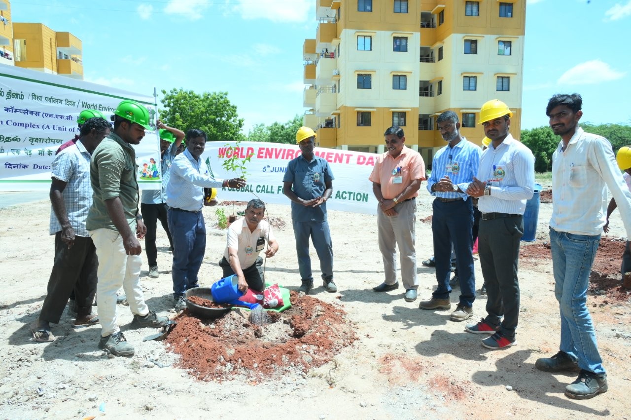 Tree plantation by DGM, ZC.