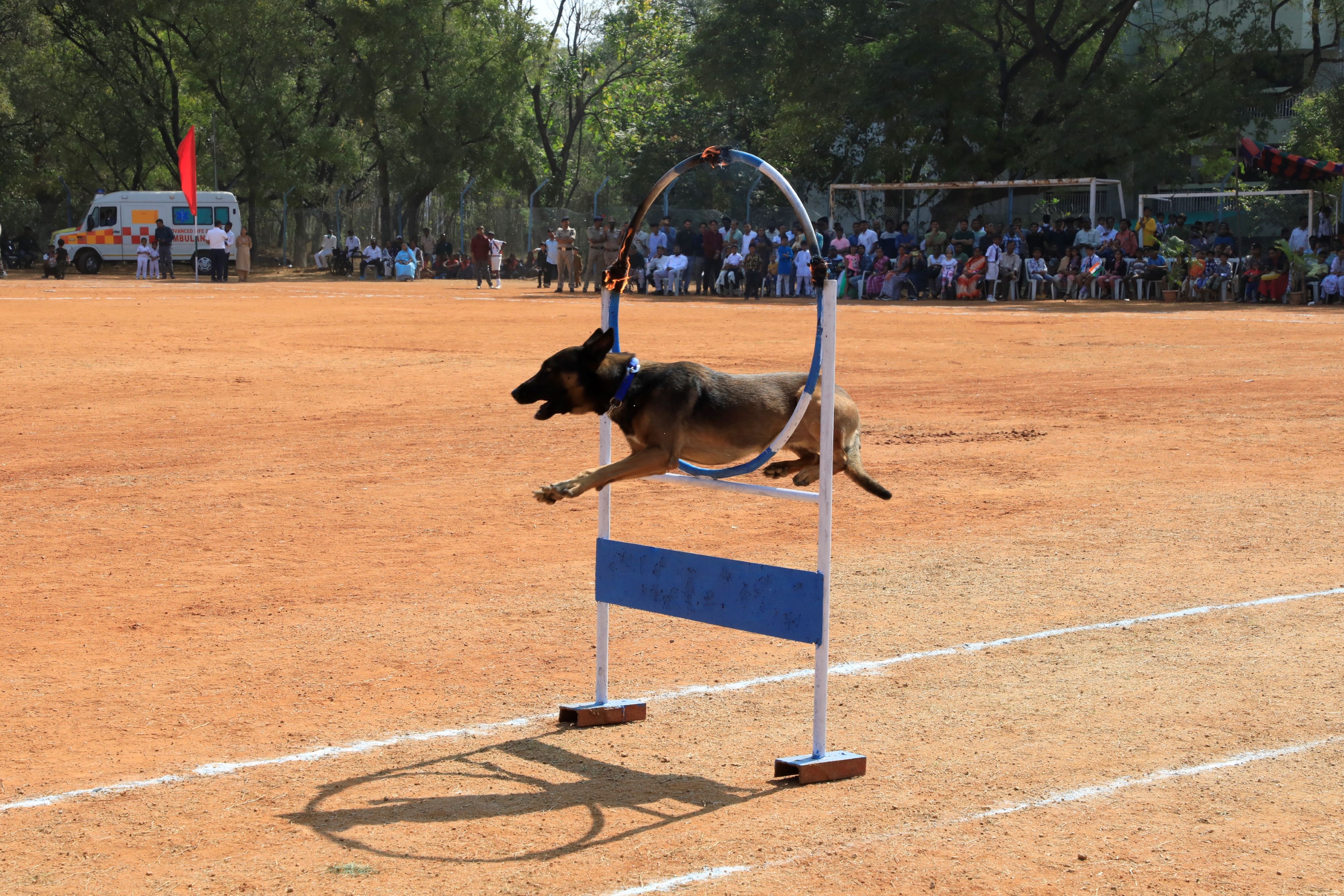 Demonstration by Sniffer dog at NFC, Hyderabad.