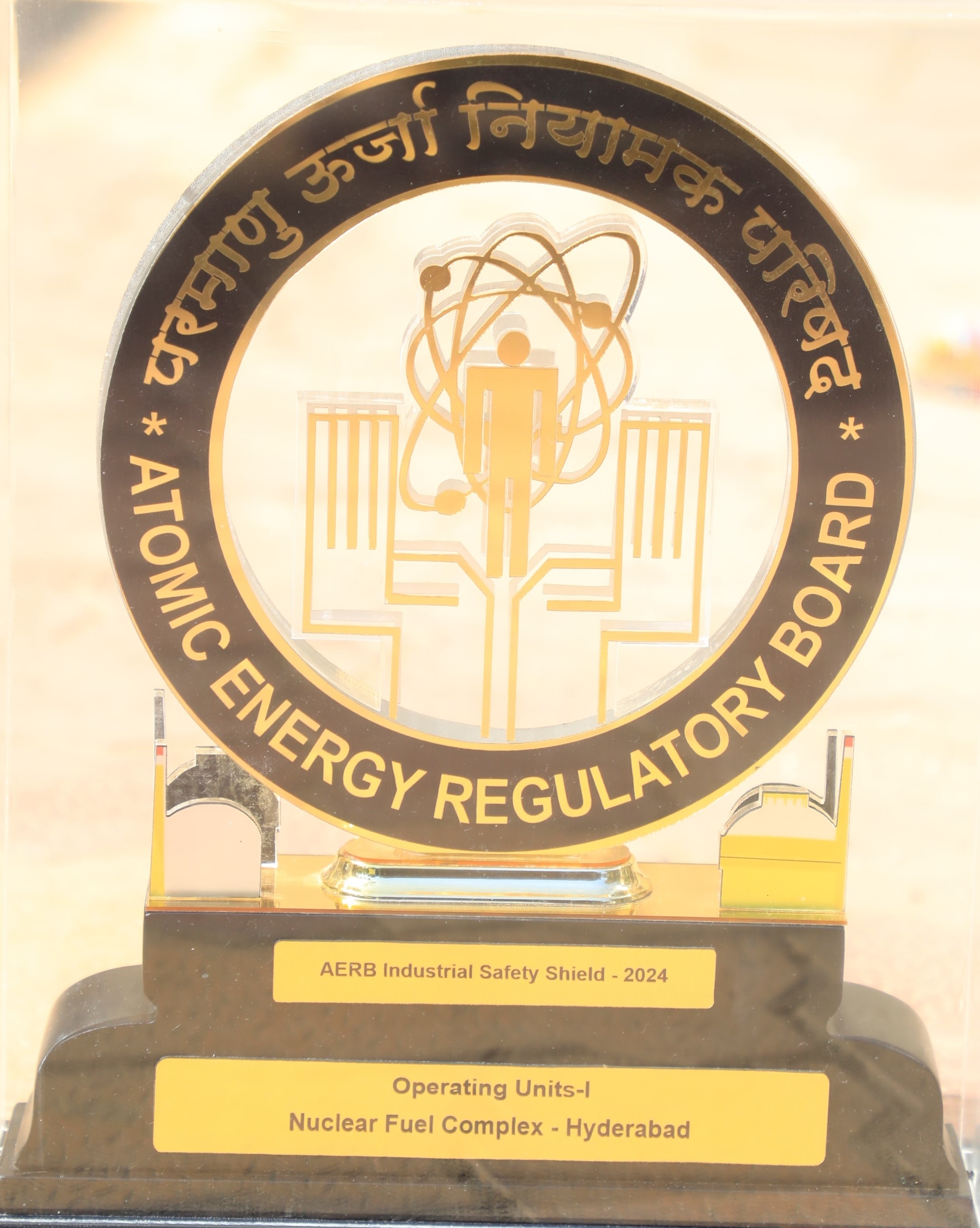 AERB Industrial Safety Shield - 2024