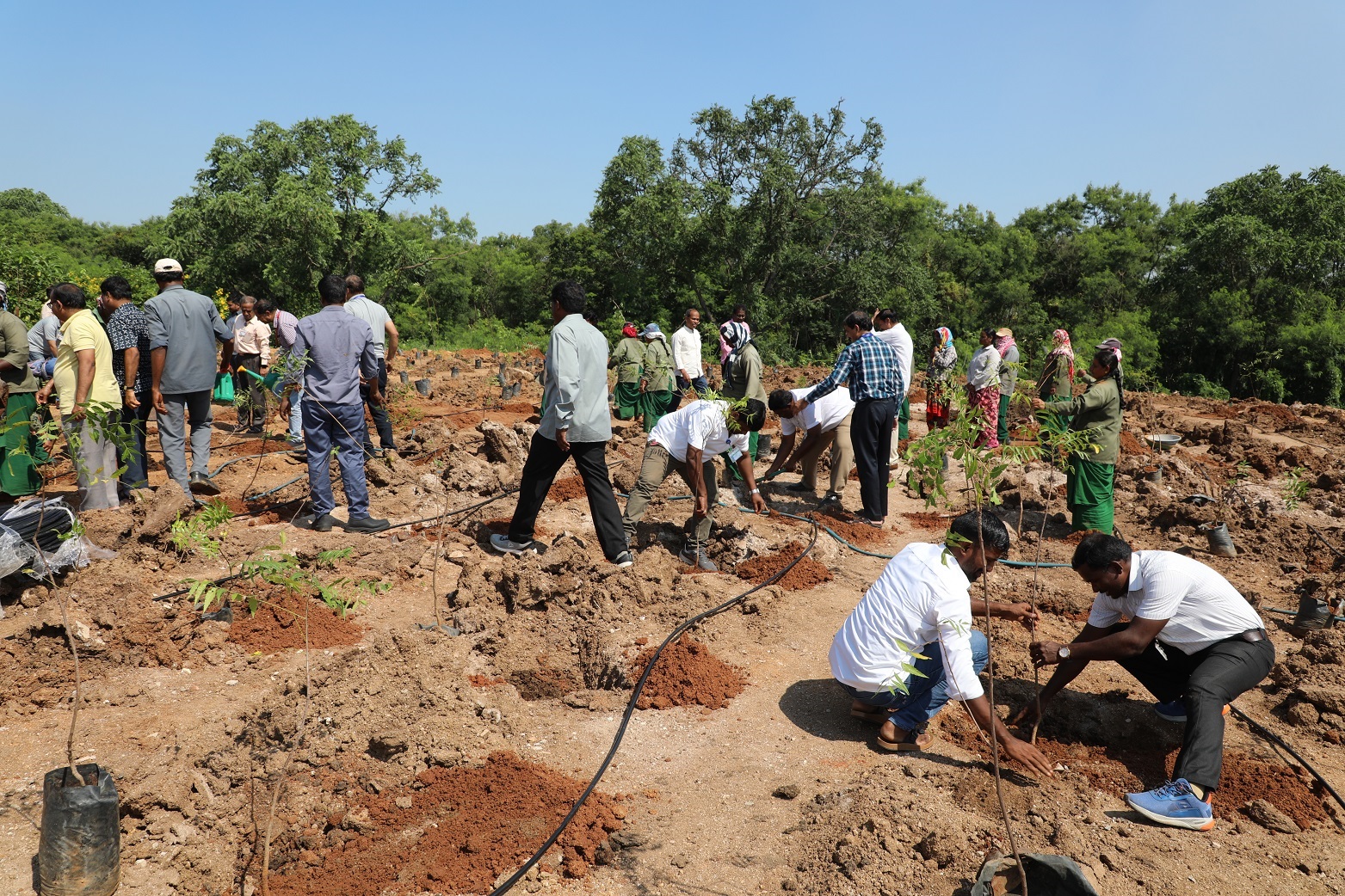 Plantation drive on the occasion of Swachh Bharat Diwas at NFC-Hyderabad