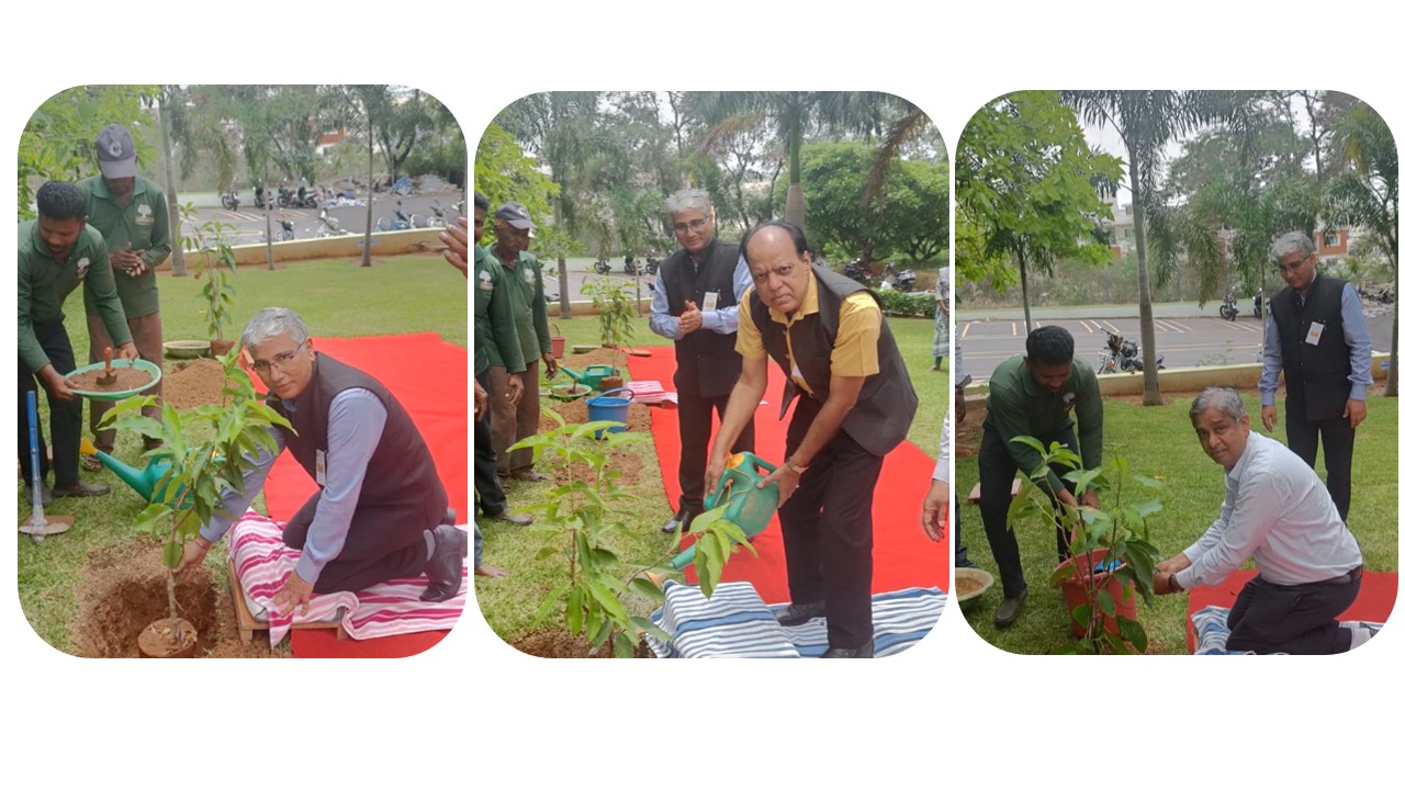 Tree Plantation. 